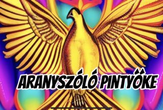 Aranyszóló pintyőke