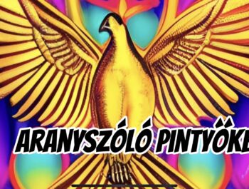 Aranyszóló pintyőke